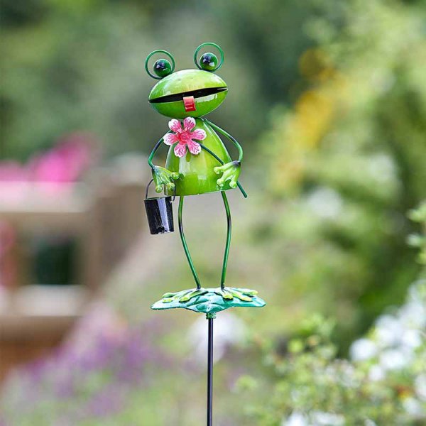 Barmy Frog with Bucket Stakes