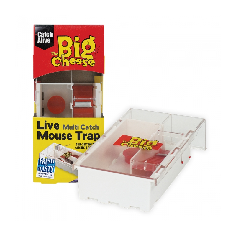 Big Cheese Live Multi-Catch Mouse Trap