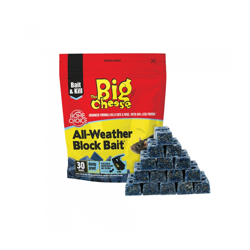 Big Cheese All-Weather Block Bait 30 x 10g